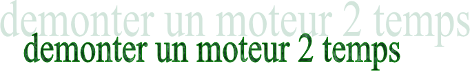 demonter un moteur 2 temps